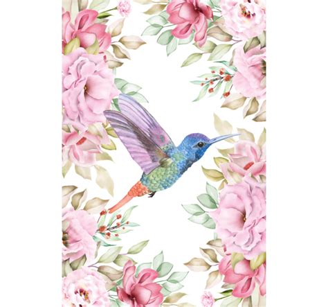 Kolibris maitinasi gėlės nektaru