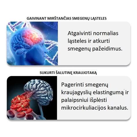 smegenų stimuliavimo garsu schema