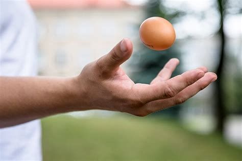 Palyginimas: šviežio ir seno kiaušinio lukšto paviršius