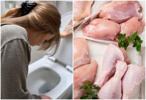 Schema, kaip salmonelės patenka į organizmą