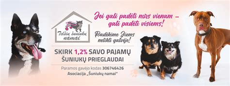 Panevėžio gyvūnų globos namų pastatas