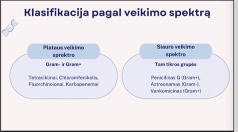 Amoksicilino veikimo mechanizmas: bakterijų ląstelės sienelės sintezės slopinimas