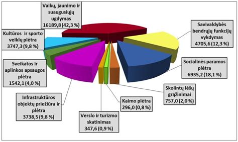 Infografika: Vykdymo išlaidų struktūra