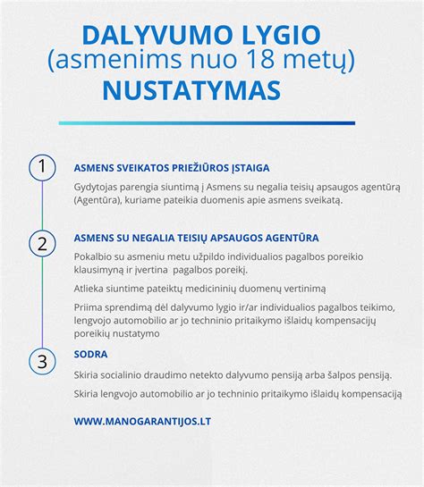 Dalyvumo lygio vertinimo schemos infografika
