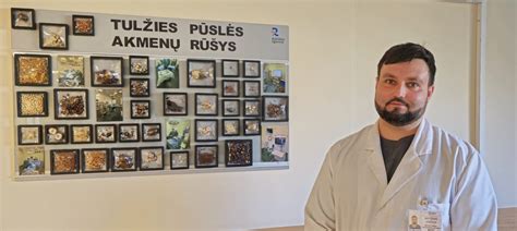 Cholesterolinių tulžies akmenų pavyzdys