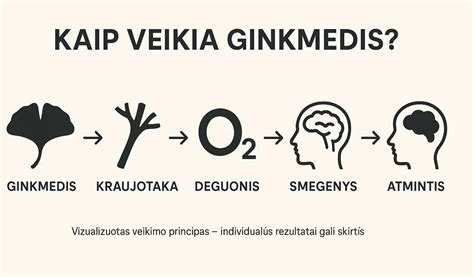 Schematinis vaizdas, kaip veikia NVNU priešuždegiminis poveikis