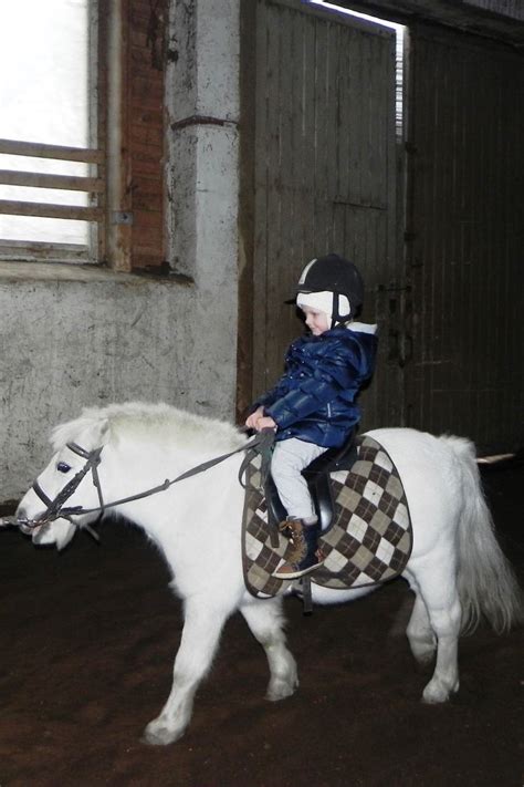 Vaikai glosto žirgus Nibrių žirgyne