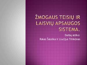 Teisminės gynybos schema ir žmogaus teisių apsaugos sistema