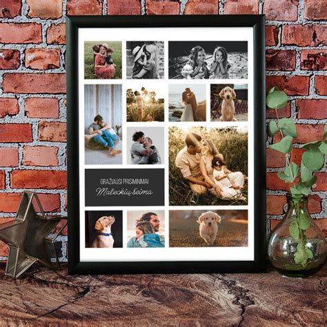 Įvairių gekonų rūšių nuotraukų koliažas