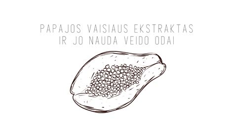 Granato vaisiaus ir jo sėklų vaizdas
