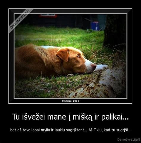 Mieli, bet piktavališki šuniukai