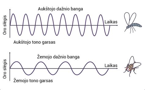 Gimdos sąrėmių dažnio ir trukmės grafikas