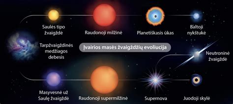 Vaisiaus gimimo biomechanizmo etapai