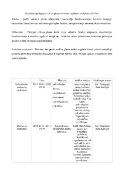 Socialinio pedagogo veiklos schema mokykloje ir tarpinstitucinis bendradarbiavimas