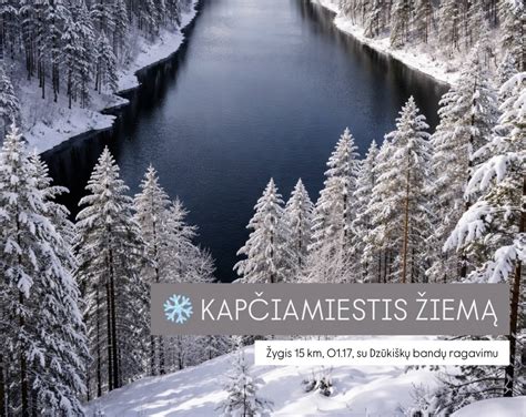 Lazdijų kraštovaizdis su ežerais ir miškais