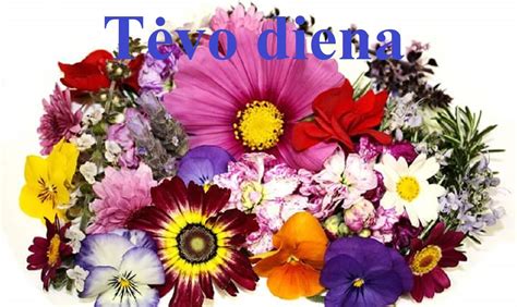 tėvo diena adrenalinas