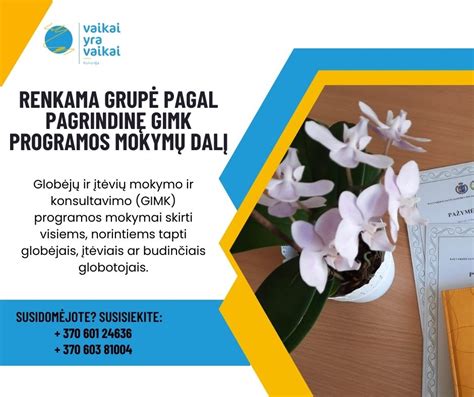Mokymų GIMK programa