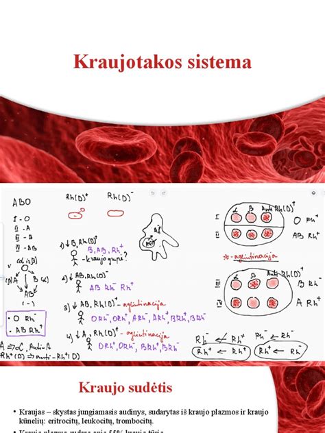 Schema, kaip kraujo krešėjimo sistema apsaugo nuo kraujavimo gimdymo metu