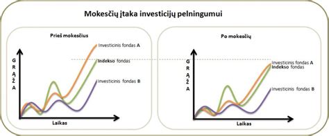 Investavimo strategijos ir mokesčių įtaka
