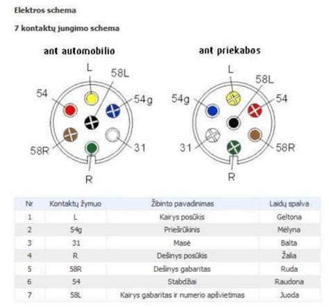 Pleištakaulio-pakauškaulio jungties schema