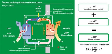 Hormonų veikimo schema žindymo metu
