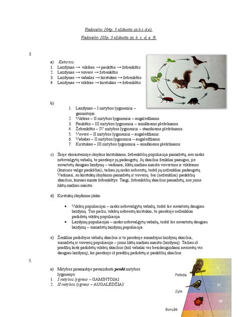 Auklės paieškos būdų schema ir šaltiniai