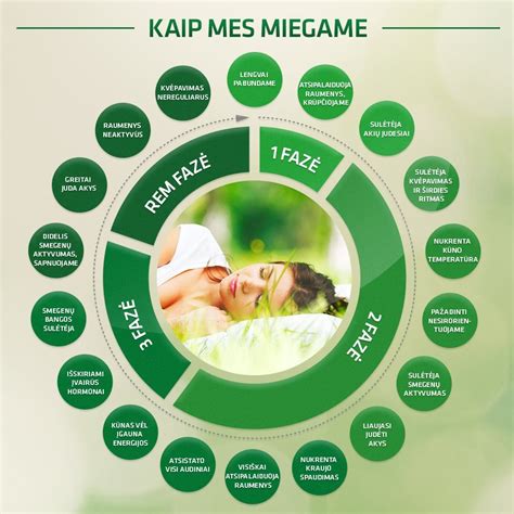 Naujagimio miego ciklas ir fazės