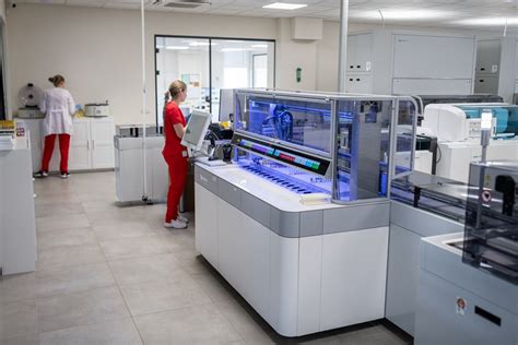 embrionų kriokonservavimo procesas laboratorijoje