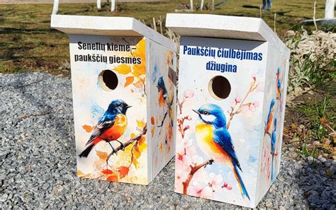 Paukščių inkilo gamybos schemos