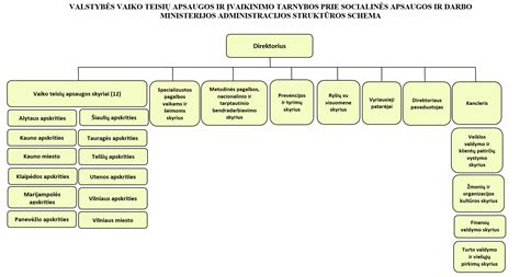 Schema: Vaiko įvaikinimo procesas