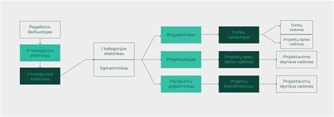 schema vaizduojanti IVF procesą nuo kiaušialąstės paėmimo iki embriono įkėlimo
