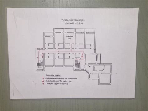 Vizualizacija kaip atrodo gimdymo planas