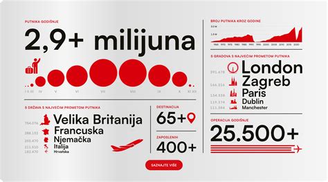 Ambliopijos priežasčių infografika