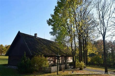 Ąžuolynas Jono Basanavičiaus gimtinėje