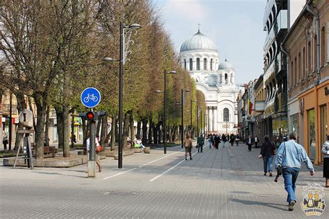Laisvės alėja Kaune šiandien