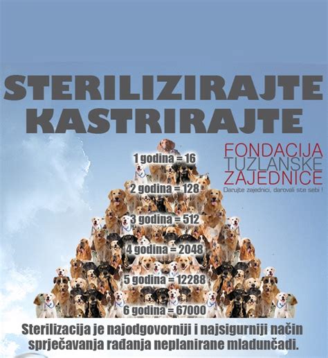 Schema: Kastracija vs Sterilizacija