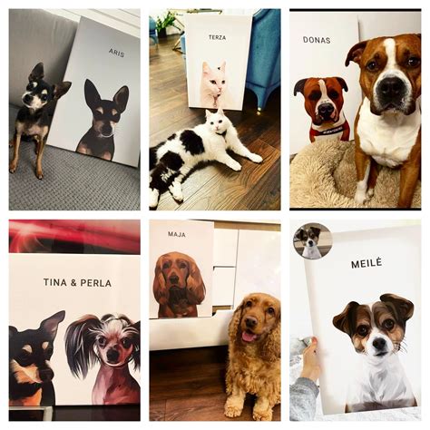 Atsakingo gyvūno savininko portretas