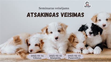 Atsakingas šuniukų veisimas