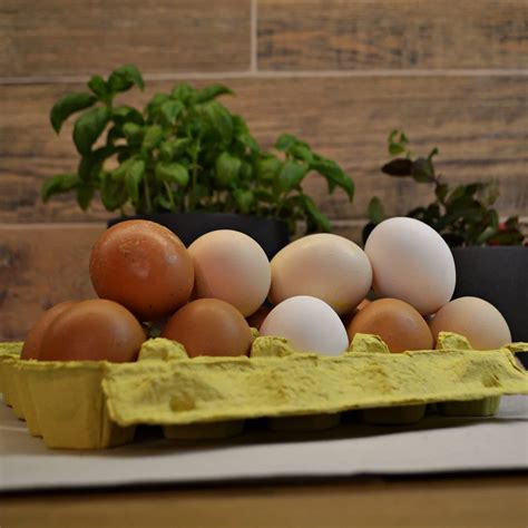 Pagrindiniai naminių ledų ingredientai: pienas, kiaušiniai, cukrus, grietinėlė