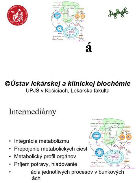 Schema, paaiškinanti bilirubino apykaitą organizme