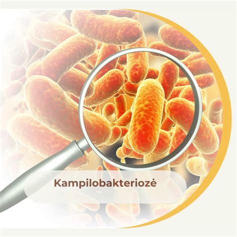 Kampilobakteriozės perdavimo keliai