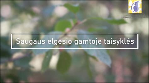 Saugaus elgesio taisyklės namuose ir gamtoje