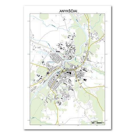 Žemėlapis su Anykščių socialinės globos namų padaliniais