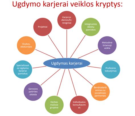 Dariaus Udrio profesinės veiklos schema