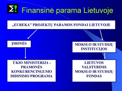 Infografika: Finansinė parama globėjams Lietuvoje