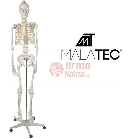 Schema: Dievo ir žmogaus santykio modelis