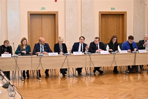 Lietuvos užsienio politikos gairės