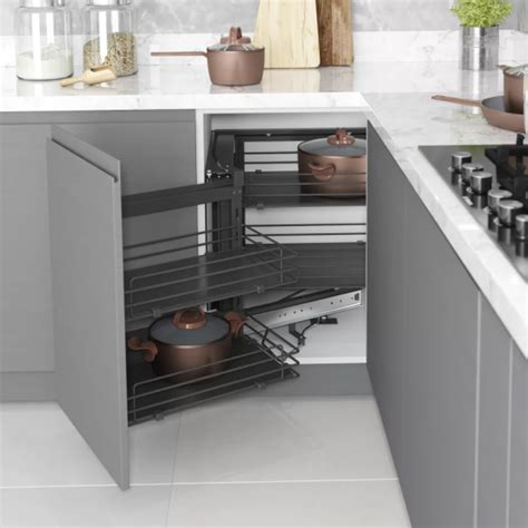 Stuburinių embriono ašies formavimosi interkaliacijos mechanizmas