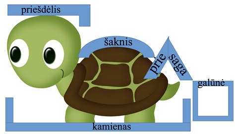 Placentos žodžio etimologijos diagrama
