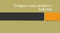 Žmogaus placentos sandara ir funkcija